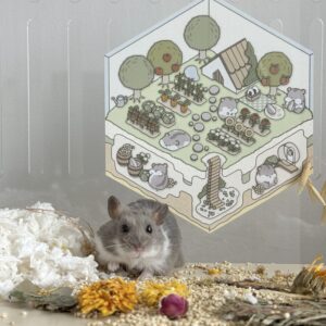 Picco's Pocket World - Garden - Image 2