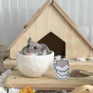 Silly Little Picco - Set of 6 - Image 2