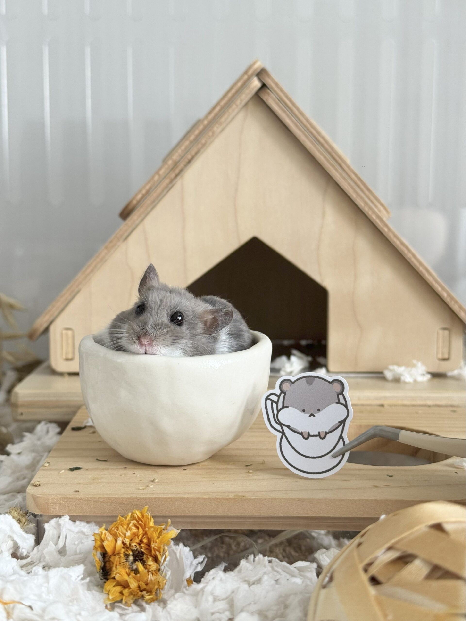 Silly Little Picco - Set of 6 - Image 2